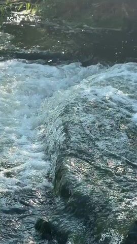 The video shows a close-up shot of a shallow stream with water flowing over rocks. The water is clear and turbulent, with white foam created by the rapids. The rocks are submerged and appear to be covered in algae or moss, giving them a green hue. The sunlight reflects off the water, creating sparkling highlights. In the background, lush green foliage is visible, suggesting a natural outdoor setting. The focus is on the movement and texture of the water as it cascades over the rocks.
