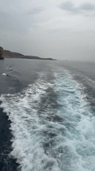 Boat cutting through Kornati waters, wake and coastline in view
