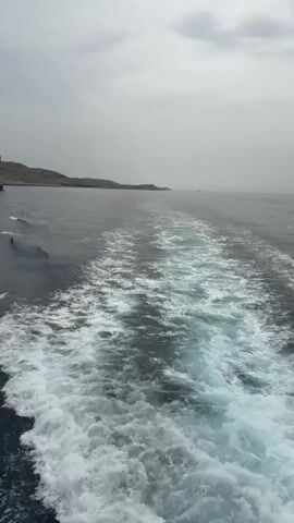 The video shows a view from a boat moving through the ocean. The camera is pointed backward, showing the wake left by the boat. The water is dark blue and choppy, with white foam from the wake stretching out behind the boat. In the distance, there is a hazy shoreline with rocky hills. The sky is overcast and gray. There are no people or other objects visible in the scene. The overall impression is one of motion and isolation.