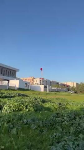 The video shows a red flag waving on a pole against a clear blue sky. The flag appears to be the flag of Morocco, judging by its color and central green star symbol. In the background, there are several light-colored buildings with flat roofs, suggesting a residential area. A green field or grassy area is visible in the foreground, with some plants scattered around. A flock of birds is also flying in the sky. The camera seems to be zoomed in on the flag, offering a closer view. The scene appears to be taken during the day, with good lighting.