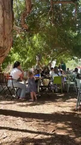 The video shows a large group of people gathered outdoors at picnic tables under the shade of trees. The tables and chairs are mismatched, and the ground is covered with mulch or wood chips. People of various ages are sitting and standing around the tables, some appearing to be eating or talking. The atmosphere seems relaxed and social. The scene suggests a casual outdoor gathering or event, possibly a party or a community event.