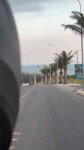The video appears to be a first-person perspective, possibly from a motorcycle, looking forward on a paved road. The road has yellow dashed lines on the left side and solid yellow lines in the middle. On the right side of the road, there are several palm trees and streetlights. Beyond the palm trees, there is a view of the ocean and a treeline. A white car is visible driving in the distance. The sky is overcast. The scene is calm and appears to be during the day, possibly late afternoon given the light.