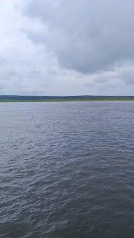 The video shows a wide body of water under a cloudy sky. The water has small ripples, suggesting a gentle breeze. In the distance, a thin line of green vegetation can be seen along the horizon, indicating land. The foreground features the edge of a vessel, appearing to be a boat or ship, with a gray metal railing. The perspective is from the vessel, looking out over the water. The overall impression is a calm, overcast day on a large body of water.