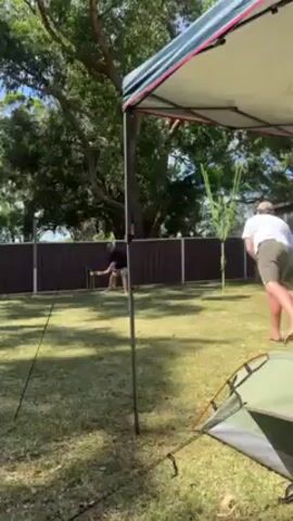 A man wearing a dark gray T-shirt, light-colored shorts, and a baseball cap is bowling in a backyard with grass. He is facing a set of wickets, and after he bowls, he raises his arms in celebration. Behind him, there is a brown fence, trees, and a canopy. To the side, there is a tent. The camera's view is partially obstructed by the pole of the canopy.