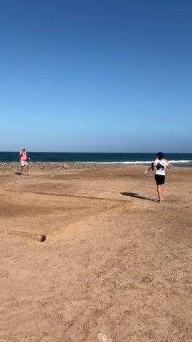 Two individuals are seen on a sandy beach under a clear blue sky, facing the ocean. One person in a pink shirt and white shorts stands to the left, with their arms extended, while the other in a black and white t-shirt and black shorts holds a white object and walks towards the right. The ocean with small waves is in the background, and a gravelly area separates the sand from the water. A small, dark object lies on the sand in the foreground to the left.