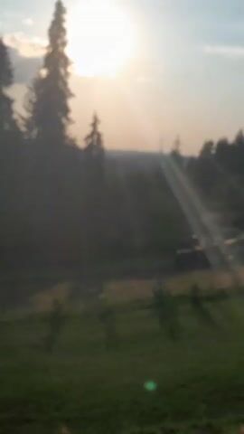 The video shows a blurry outdoor scene at sunset. Tall evergreen trees are silhouetted against the bright sun, which casts long rays of light through the hazy atmosphere. In the middle ground, a tractor appears to be working in a clearing, with some machinery visible. The foreground consists of green grass. The overall impression is one of rural activity in the late afternoon or early evening.