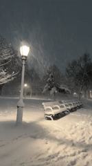 Heavy snow falls in New York park overnight