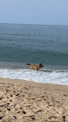 Morning beach life documented in Alanya, Turkey
