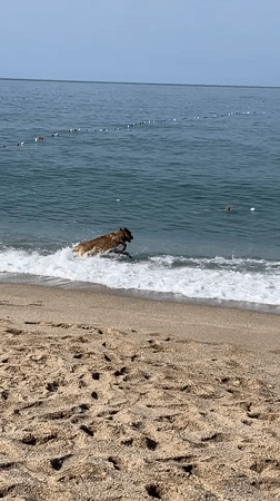 Morning beach life documented in Alanya, Turkey