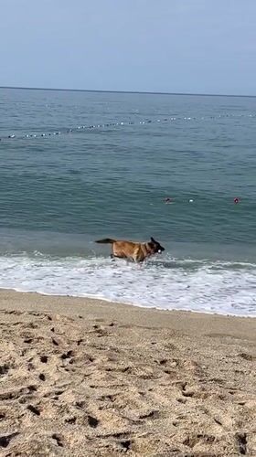 Morning beach life documented in Alanya, Turkey