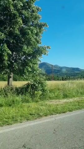 The video shows a view from a moving vehicle on a sunny day. The landscape consists of a road in the foreground, followed by a field of tall, dry grass and then a wooded hill with mountains in the distance under a clear blue sky. There are some power lines visible in the distance. The camera appears to be mounted on the dashboard or windshield of the vehicle.
