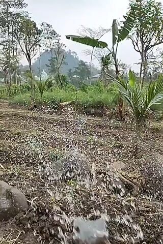 The video shows a close-up view of muddy ground with scattered debris. In the background, there is lush vegetation, trees, and a distant hillside. The overall impression is of an outdoor, possibly rural, environment that has recently experienced some disturbance, indicated by the muddy and strewn conditions. There are no people or animals visible in the frame. The camera appears to be moving slightly, possibly being held by someone walking.