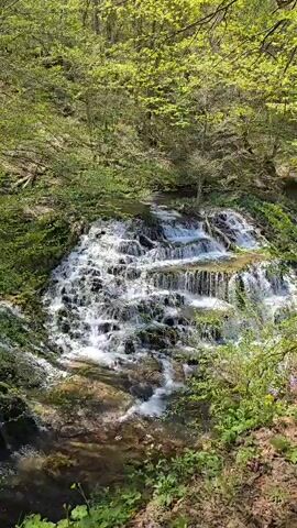 The video shows a cascading waterfall in a forest. The water flows over a series of rocky ledges, creating small waterfalls. The surrounding area is lush with green trees and vegetation. The camera slowly zooms out, revealing more of the surrounding forest. The water is clear and reflects the sunlight. The sound of the waterfall is audible.
