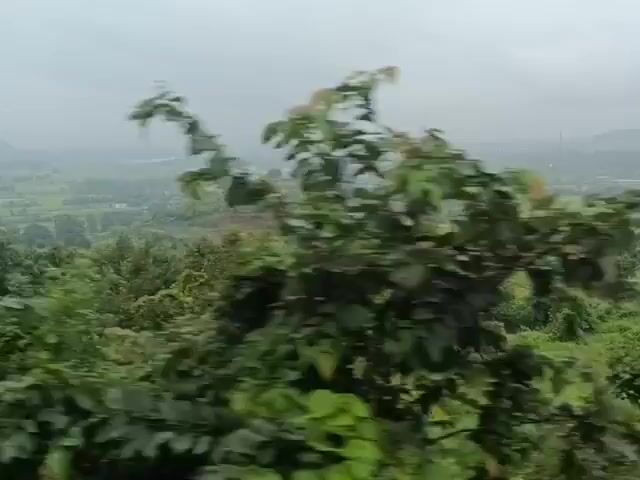 The video captures a hazy, green landscape, likely from a moving vehicle. The foreground is dominated by lush, green foliage that appears to be swaying, suggesting wind or motion. In the mid-ground and background, rolling hills are covered in verdant vegetation. There are scattered structures and what appear to be agricultural fields in the distance. The sky is overcast and grey, contributing to the hazy atmosphere. A vertical, dark object, possibly a pole or part of the vehicle, briefly enters the frame on the right side. The overall impression is of a rural, possibly mountainous or hilly, area during a cloudy or misty day.