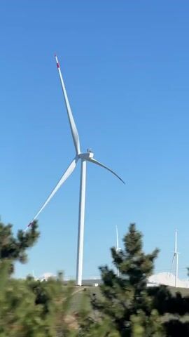 The video shows several white wind turbines standing on a hill against a bright blue sky. The blades of the turbines are visible, each with a red tip. The turbines are partially obscured by green trees in the foreground as the camera appears to be moving, possibly from a car or train.