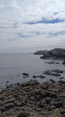 Calm rocky shoreline with ships on the horizon