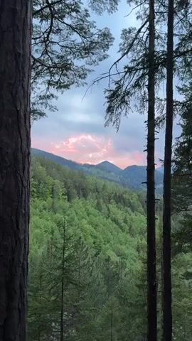 The video opens on a view framed by tree trunks, showing a lush green mountain range under a sky of pink and grey clouds at sunset. The camera then zooms in to focus on the skyline, showcasing the vibrant sunset lighting against the forested slopes. A child's voice is audible in the background, adding a touch of innocence to the scene. The overall effect is one of natural beauty highlighted by the dramatic sky.