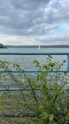 A low-angle static shot shows a lake with a sailboat in the distance, viewed through a blue railing and a green bush in the foreground. The lake has small waves, and the sky is cloudy with hints of blue. The distant shoreline is visible with trees.
