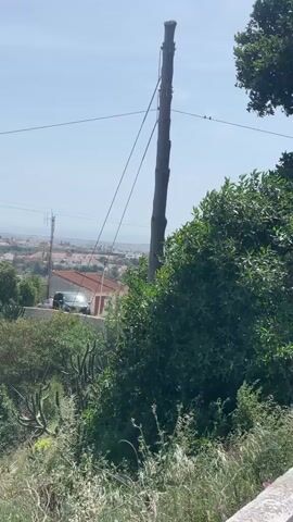 The video shows a view from an elevated position overlooking a suburban or rural landscape. A tall, bare tree trunk, likely a utility pole, stands prominently in the middle of the frame. Electrical wires are strung from the pole, extending towards the background. To the right of the pole, a large, dense bush or tree partially obscures the view.

In the background, a scattering of houses with red tile roofs is visible, suggesting a warm climate. A black car is parked near one of the houses. A communications tower can be seen in the distance, indicating the presence of infrastructure.

The foreground consists of green vegetation, including various plants and weeds. The sky is light blue with a hint of haze. The overall impression is one of a calm, sunny day. The scene is static, with no significant movement observed.