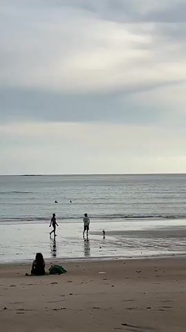 The video shows a beach scene with a calm ocean and cloudy sky. In the foreground, a person is sitting on the sand facing the water, with some belongings beside them. In the mid-ground, two people are walking along the wet sand near the water's edge, accompanied by a dog. A small dog is walking between them. Further out in the ocean, a few other people can be seen swimming. The tide appears to be out, exposing a wide expanse of wet sand.