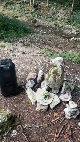 A black portable speaker is positioned to the left of a ring of stones in a forest setting. The stones are arranged in a circular pattern, with some smaller stones stacked on top of each other. A few green plants are growing amongst the stones. In the background, a dry creek bed with rocks and sparse vegetation is visible, and trees line the upper portion of the frame. The ground is covered in dirt and fallen leaves.