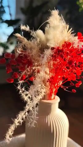 The video shows a white vase containing a bouquet of dried flowers. The bouquet is comprised of red and white sprigs, with a white feathery plant also included. The vase has a grooved, vertical pattern. The video is shot indoors with natural light creating highlights and shadows. Background elements are blurred but appear to include other plants and a window.