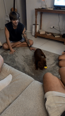Indoor gathering with dog playtime and surfing presentation in Thailand