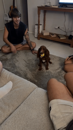 Indoor gathering with dog playtime and surfing presentation in Thailand