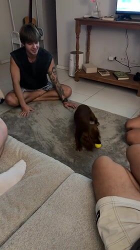 Indoor gathering with dog playtime and surfing presentation in Thailand