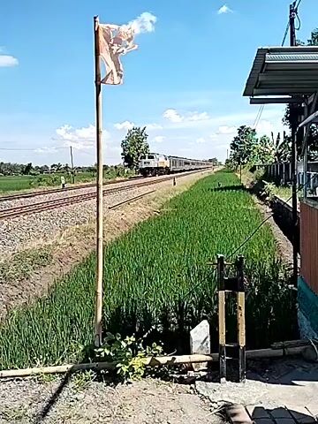 The video shows a train passing by. The train has a white and yellow locomotive and silver passenger cars. It is moving from right to left on a track that runs through a rural area with green fields and trees in the background. The sky is blue with some clouds. In the foreground, there's a wooden post with a tattered flag hanging from it, and some vegetation. The camera follows the train as it passes.