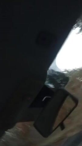 A vehicle drives on a winding road surrounded by a forest. The road surface is dark. Power lines run along the side of the road. The sky is overcast.
