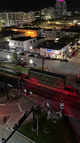 A night time aerial view shows a train stopped at a railway crossing in a city. Emergency vehicles with flashing lights are present at the crossing, suggesting an incident has occurred. Several cars are also visible on the road near the crossing. Buildings with illuminated windows line the street, and palm trees are scattered throughout the scene. The sky is dark, indicating it is nighttime.