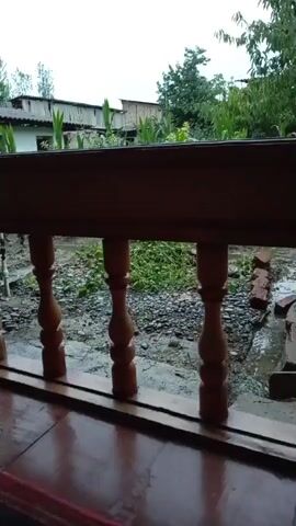 The video shows a view from a wooden balcony or porch looking out onto a backyard. The foreground features a dark brown wooden railing with turned spindles. Beyond the railing, the ground is wet and appears to be covered in gravel and dirt, with puddles of water indicating recent rain. There are piles of red bricks to the right, also wet. In the middle ground, there is a variety of green foliage, including what appears to be corn stalks and other plants. In the background, there are some low-lying buildings with white walls and corrugated roofs. Trees are visible behind the buildings and throughout the scene. The sky is overcast and appears grey, suggesting a cloudy or rainy day. There are no people visible in the video. The scene is static, with no observable movement other than slight camera shake.