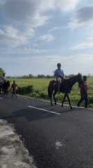 Morning rural transportation captured in Kediri agricultural areas