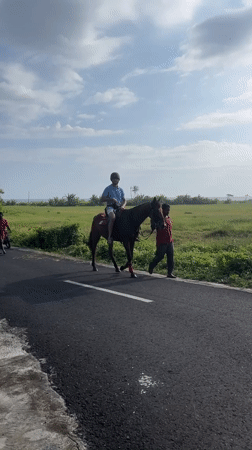Morning rural transportation captured in Kediri agricultural areas