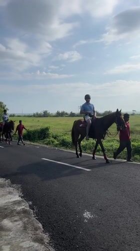 Morning rural transportation captured in Kediri agricultural areas