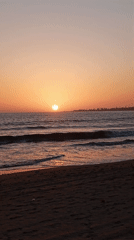 Children, dogs, horse cart spotted during Mumbai beach sunset