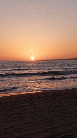 Children, dogs, horse cart spotted during Mumbai beach sunset