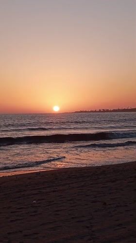 Children, dogs, horse cart spotted during Mumbai beach sunset