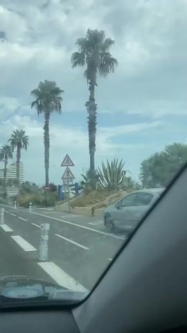 The video shows a view from inside a car driving on a road. Palm trees line the right side of the road, along with some agave plants and other greenery. In the distance, there are buildings, including what appears to be a tall white hotel or apartment complex. There are traffic signs, including a yield sign and a bicycle crossing sign. A white car is in front of the video-taker's car, and other cars are visible on the road. The sky is cloudy.