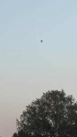 A hot air balloon is visible in the distance against a clear sky. In the foreground, the top of a tree is partially visible. The balloon appears to be moving.