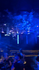Late night activity at Sofia nightclub captured on video