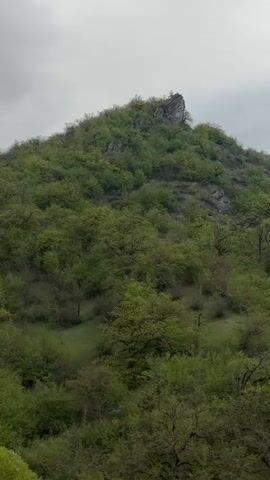 The camera pans across a lush, green hillside under an overcast sky. The hillside is covered with trees and some rocky outcroppings.