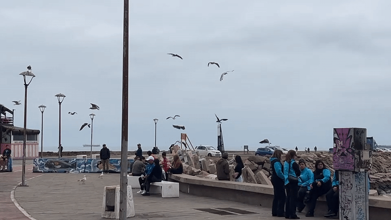 Arica, Chile