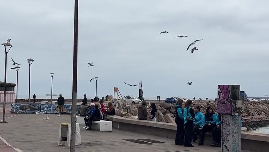 Arica, Chile