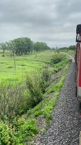 The video shows a view from a moving train traveling along a curving track through a rural landscape. The train car is red and white. The surrounding environment is lush and green with tall grass, bushes, and trees. The sky is overcast with clouds. The train track is covered with gravel. There are utility poles visible in the distance.