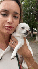 White chihuahua gets its moment in Fontanka, Ukraine
