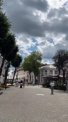 A vertical, wide shot shows an empty pedestrian street with cobblestone pavement under a cloudy sky. The street is lined with trees on the left and buildings on the right. Several people are walking down the street at a distance. Two people with a baby stroller are walking away from the camera on the left, and a single person is walking away from the camera on the right. The buildings appear to be commercial with awnings visible.