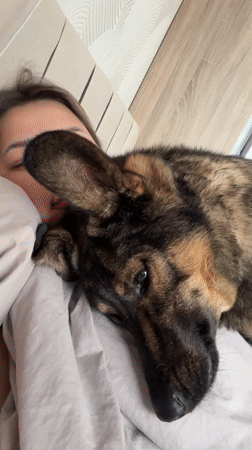 Woman cuddles with dog in bed in Birobidzhan