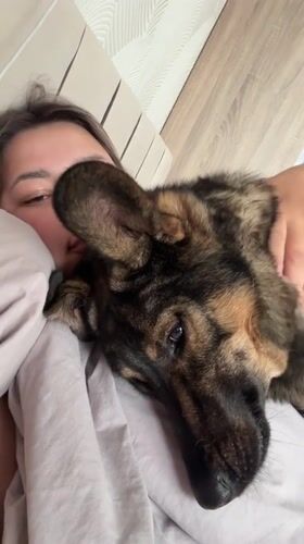 Woman cuddles with dog in bed in Birobidzhan